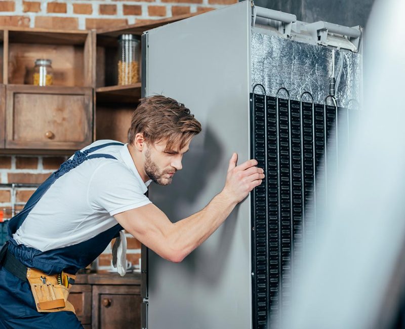Zeytinburnu Zanussi Buzdolabı Servisi